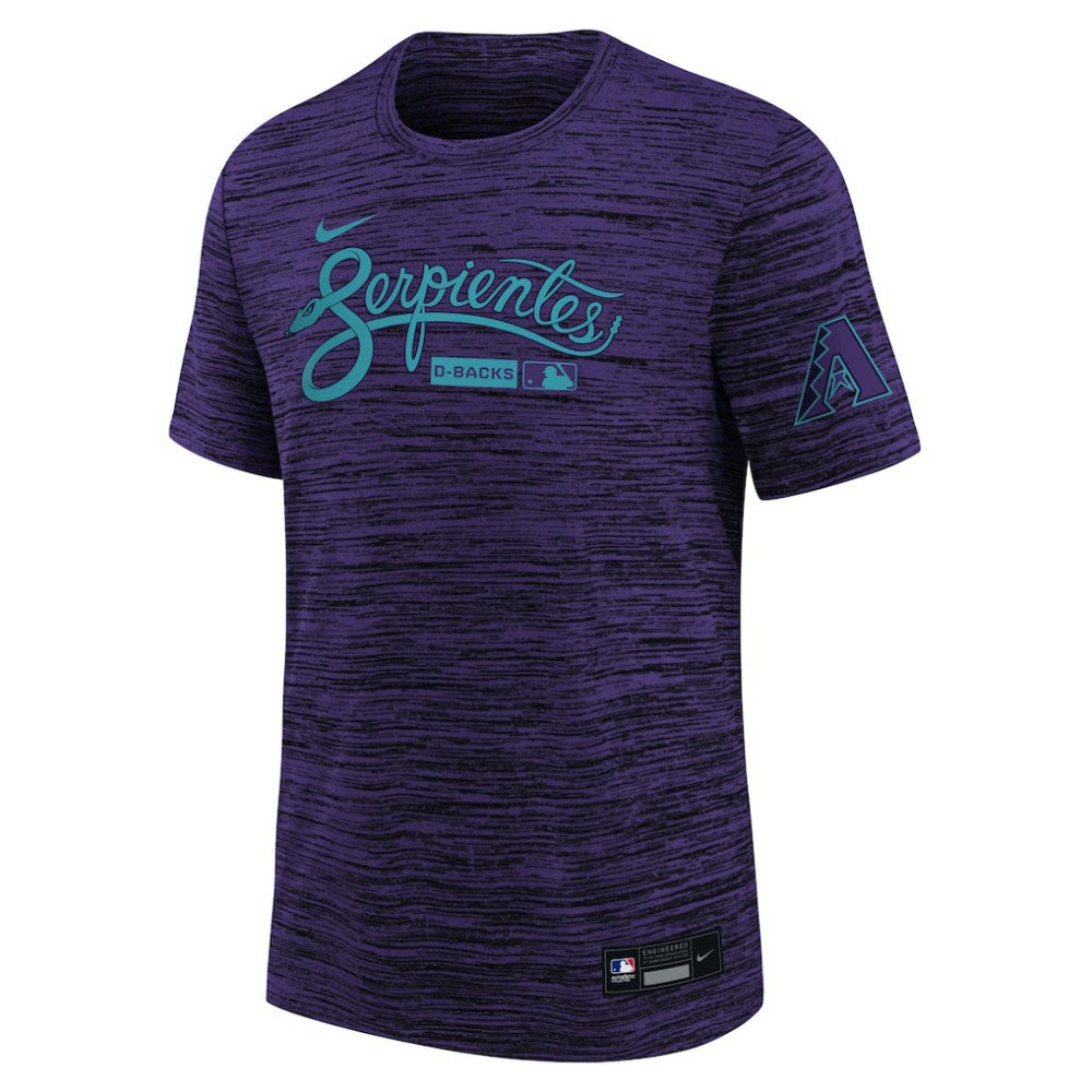 Purple Arizona Diamondbacks Nike Youth Authentic Collection Velocity Dri-FIT T-Shirt