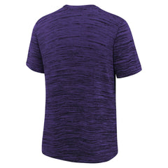 Purple Arizona Diamondbacks Nike Youth Authentic Collection Velocity Dri-FIT T-Shirt