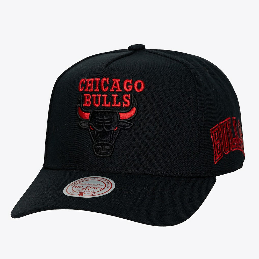 Mitchell & Ness Chicago Bulls Hardwood Classics Legendary Away Pro-Pinch Adjustable Hat