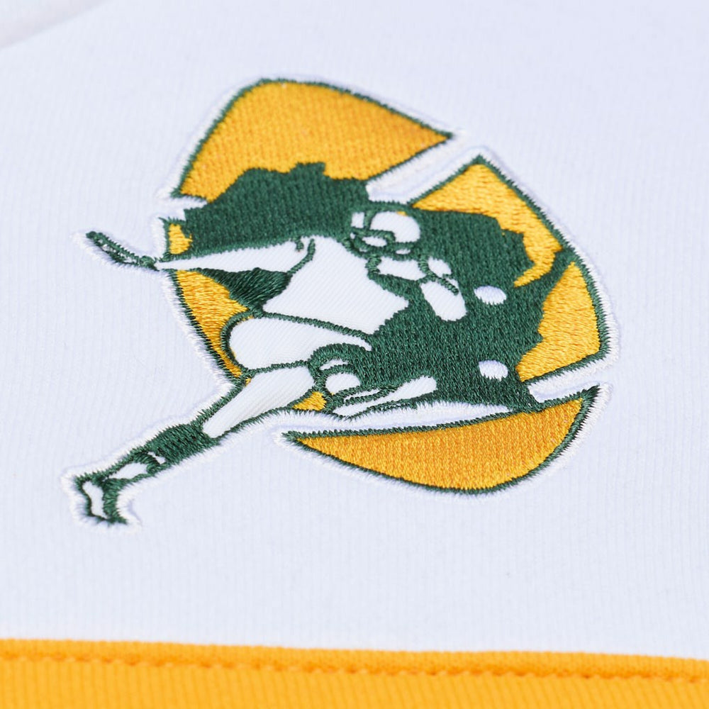 Head Coach Hoodie - Green Bay Packers Hoodies
