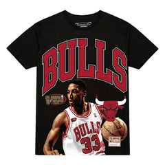Mitchell & Ness Scottie Pippen Chicago Bulls Hardwood Classics Player Arch T-Shirt sale