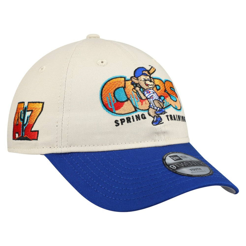Stone/Royal Chicago Cubs New Era Youth 2026 Spring Training Fan Pack Batter 9TWENTY Adjustable Hat