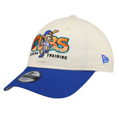 Stone/Royal Chicago Cubs New Era Youth 2026 Spring Training Fan Pack Batter 9TWENTY Adjustable Hat