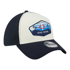 Stone Minnesota Twins New Era 2026 Spring Training Fan Pack Gradient 39THIRTY Flex Hat