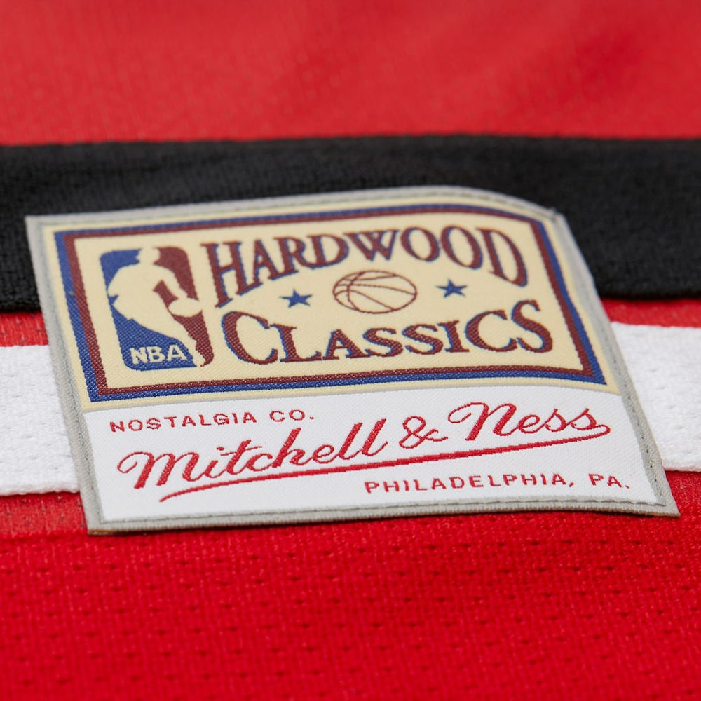 Mitchell & Ness Dikembe Mutombo Atlanta Hawks Unisex Maxxed Out Fashion Hockey Jersey