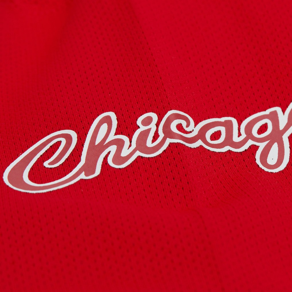 Mitchell & Ness Dennis Rodman Chicago Bulls Unisex Maxxed Out Fashion Hockey Jersey sale