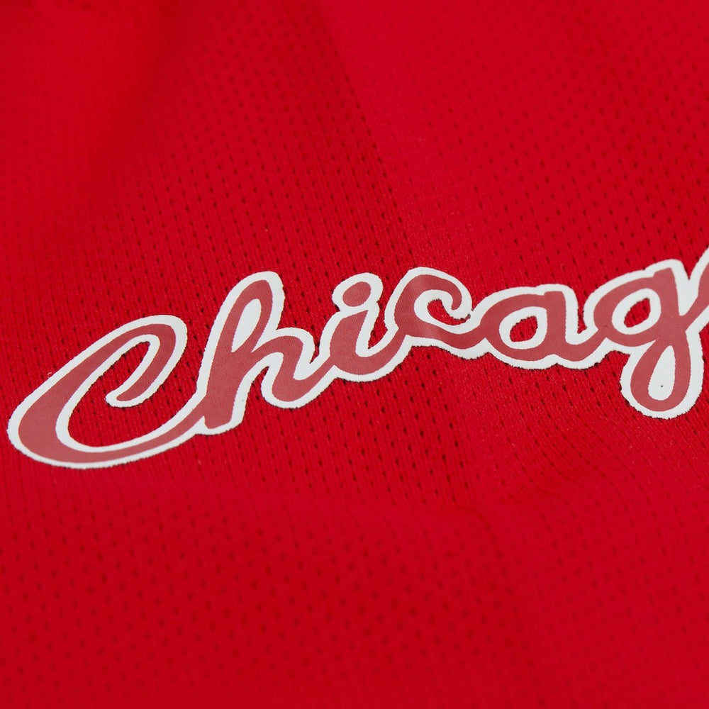 Mitchell & Ness Dennis Rodman Chicago Bulls Unisex Maxxed Out Fashion Hockey Jersey sale