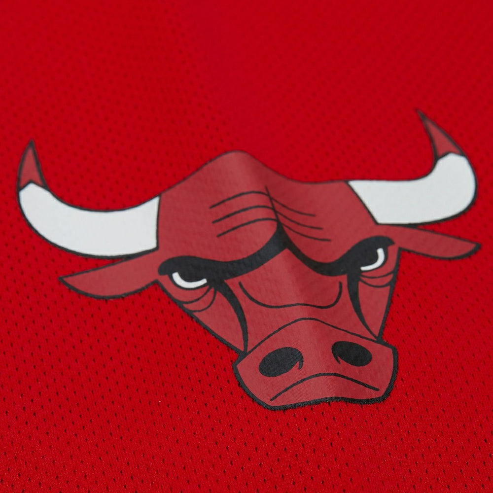 Mitchell & Ness Dennis Rodman Chicago Bulls Unisex Maxxed Out Fashion Hockey Jersey sale