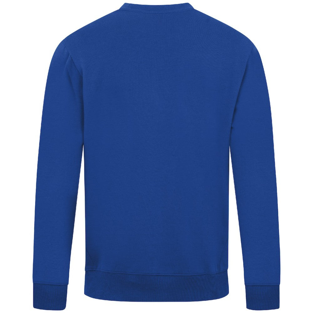 Royal Chicago Cubs Levelwear Zane Banner Arch Sweatshirt