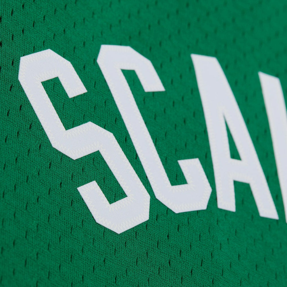 Mitchell & Ness Brian Scalabrine Boston Celtics 2007/08 Hardwood Classics Swingman Jersey
