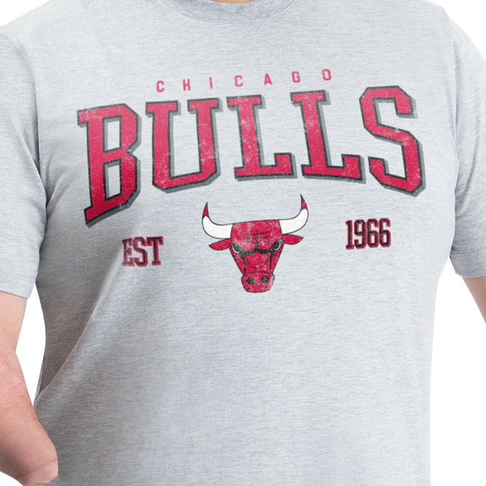 Chicago Bulls G-III Sports by Carl Banks Adaptive Classic Team Spirit Short Sleeve T-Shirt sale