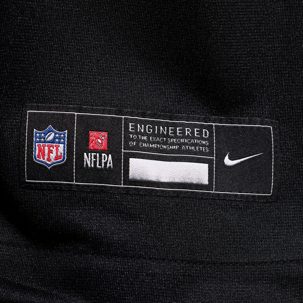 Demani Richardson  Team Game Jersey - Carolina Panthers Jerseys