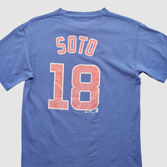 Blue Chicago Cubs 2000s T-Shirt