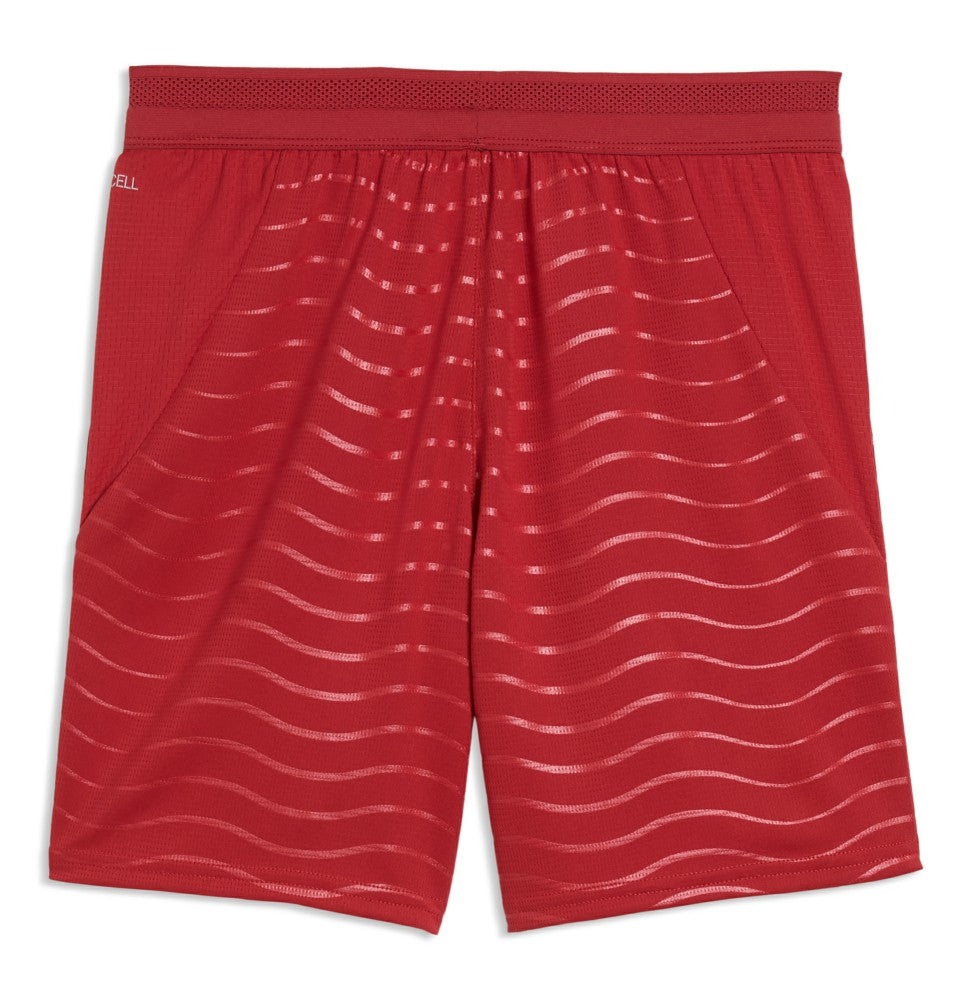 Portugal National Team Youth 2026 Replica Shorts