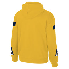 Indiana Pacers Stadium Essentials Unisex NBA Legends City Star Fleece Hoodie