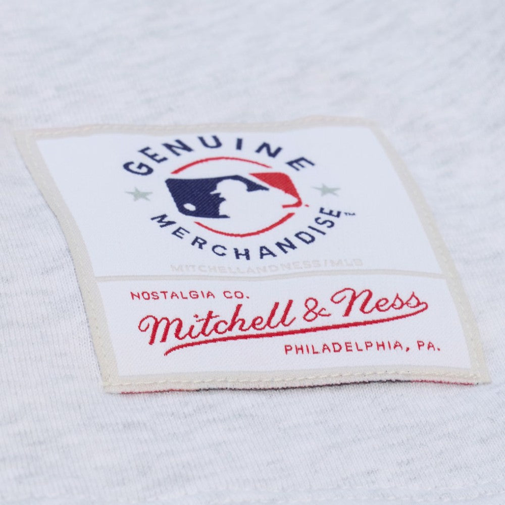 Heather Gray San Francisco Giants Mitchell & Ness Women's Script Cropped Boxy T-Shirt