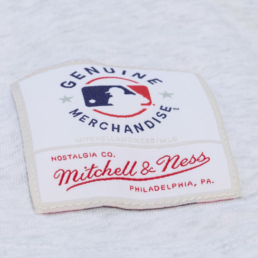 Heather Gray Los Angeles Dodgers Mitchell & Ness Women's Script Cropped Boxy T-Shirt