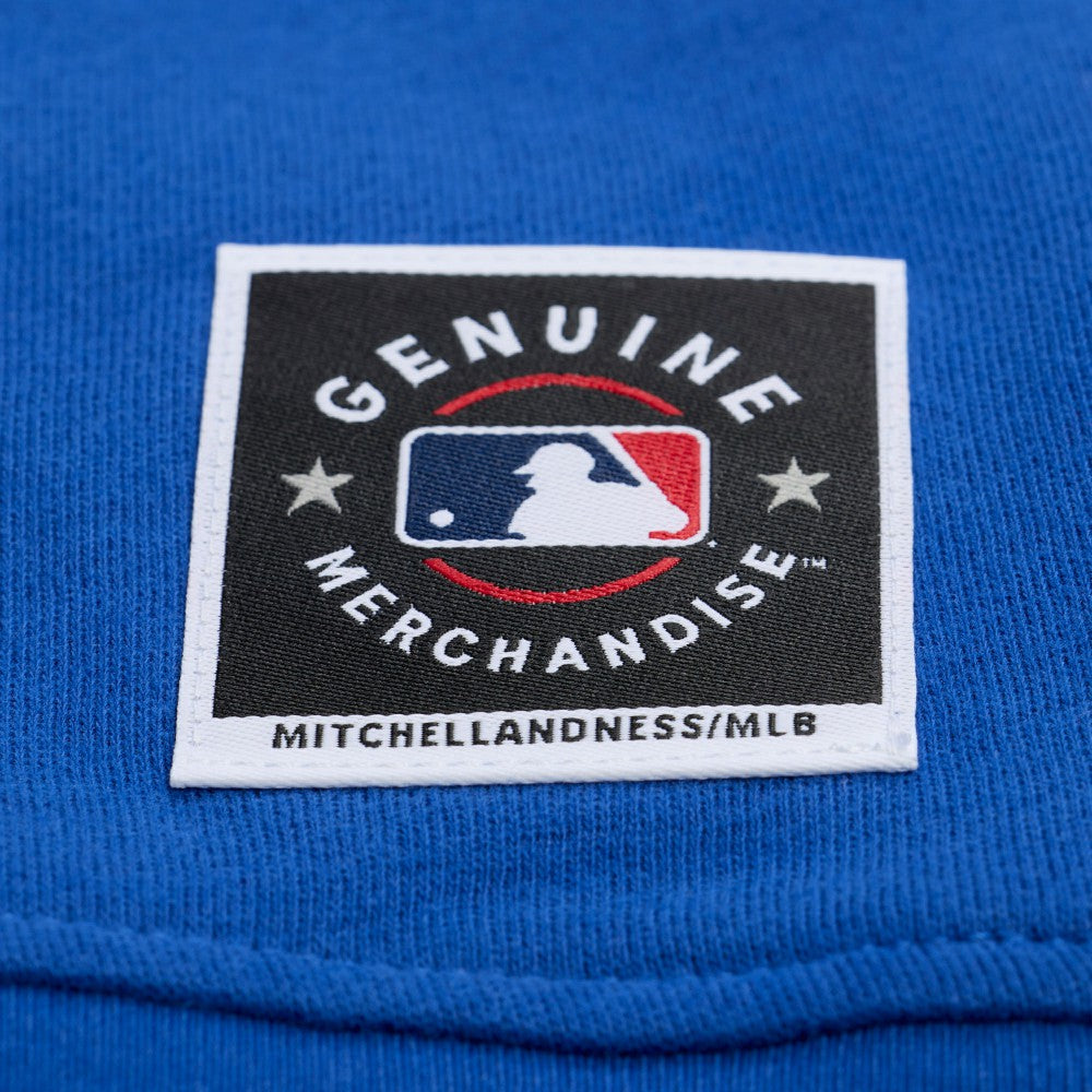 Royal Los Angeles Dodgers Mitchell & Ness Women's Script Sweatshirt