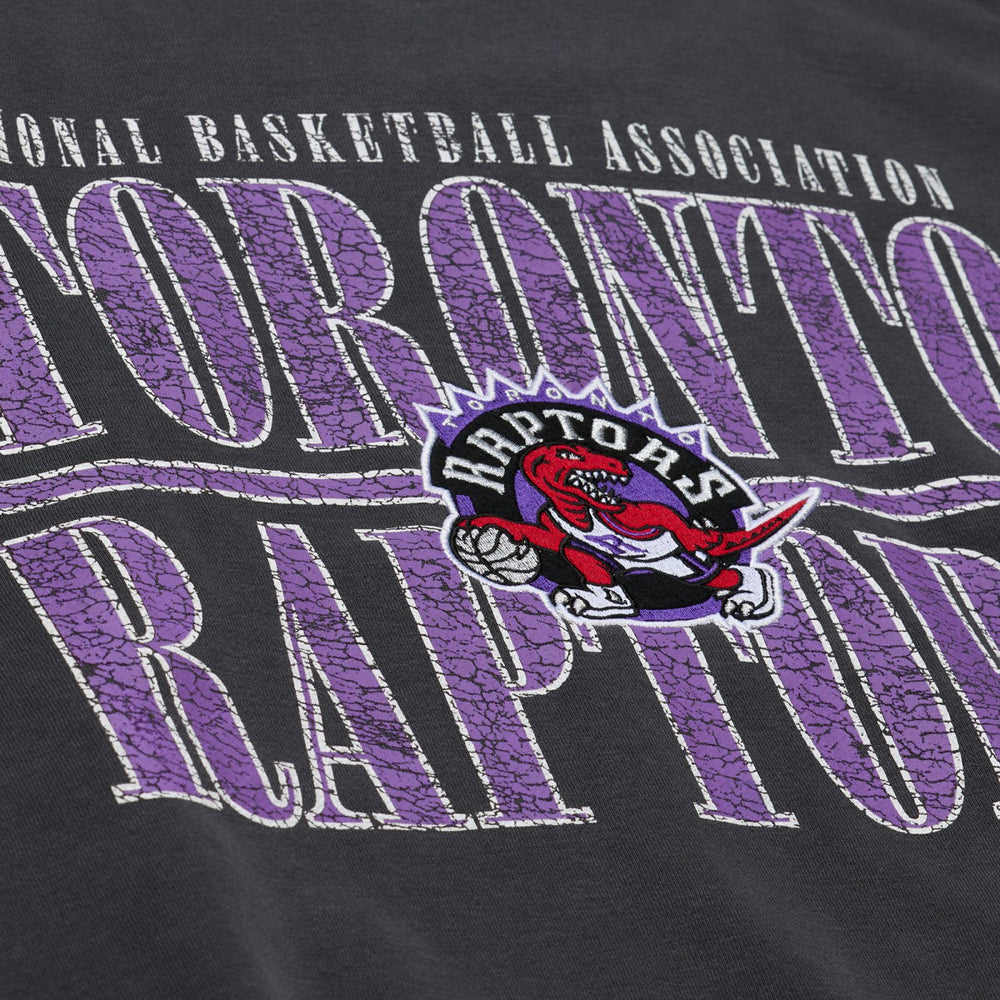 Mitchell & Ness Toronto Raptors NBA Downtown Collection Fleece Sweatshirt