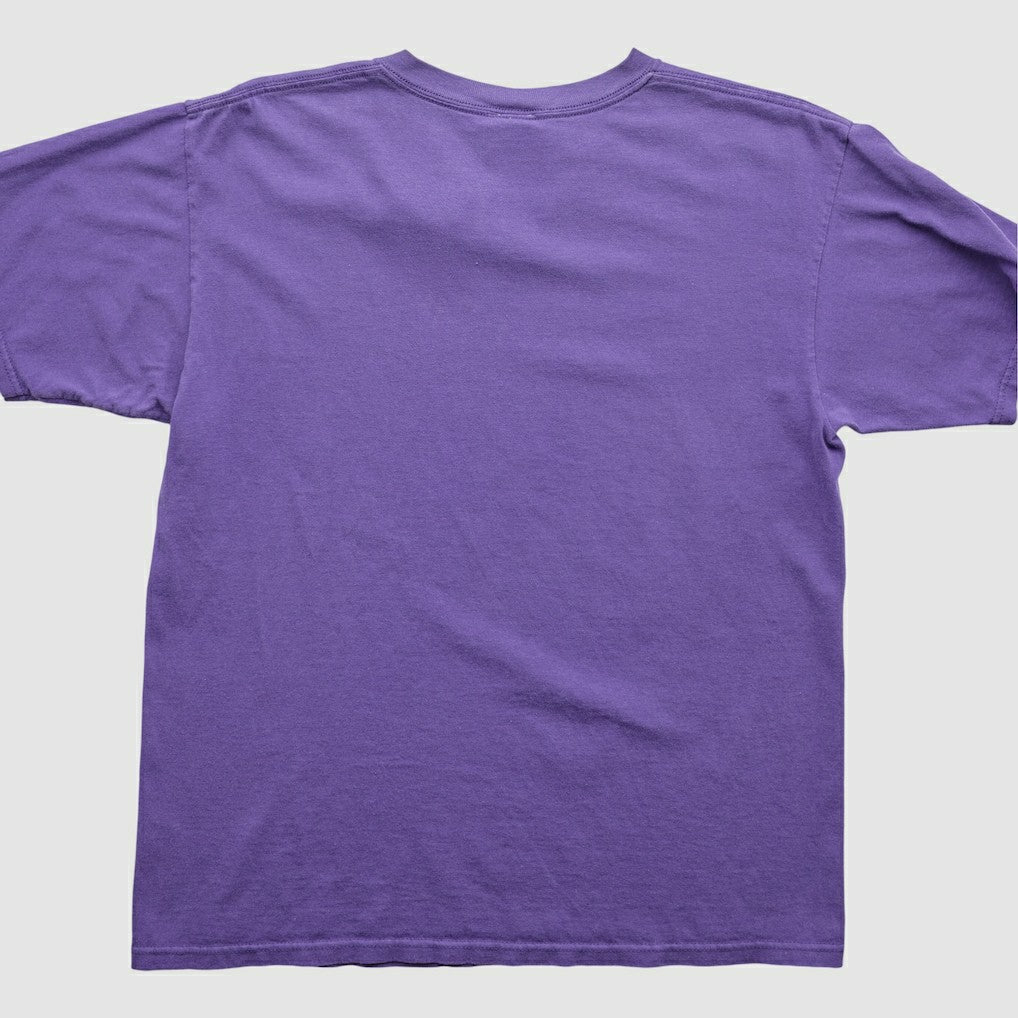 NFL 2000s T-Shirt - Minnesota Vikings T-shirts