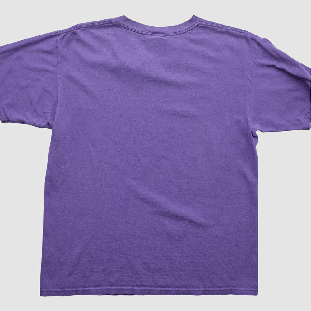 NFL 2000s T-Shirt - Minnesota Vikings T-shirts