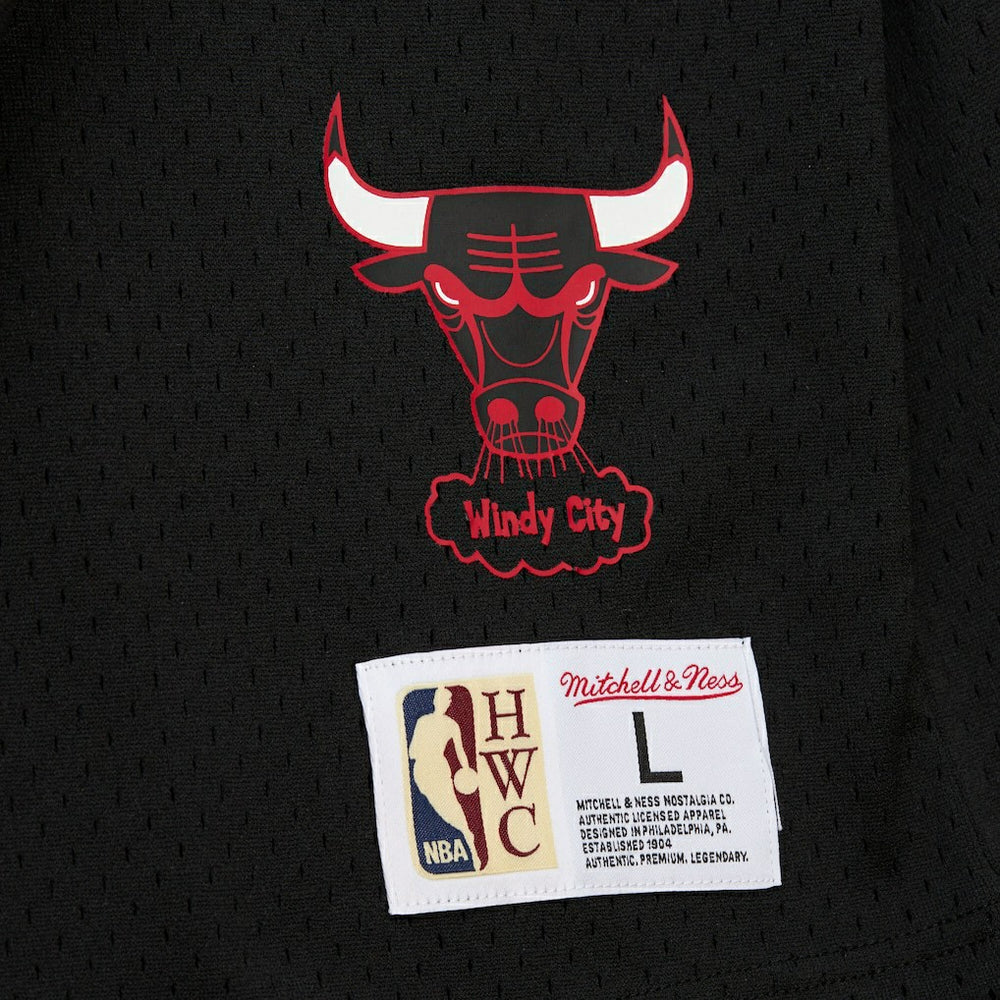 Mitchell & Ness Dennis Rodman Chicago Bulls Mesh Name & Number Short Sleeve Hoodie sale