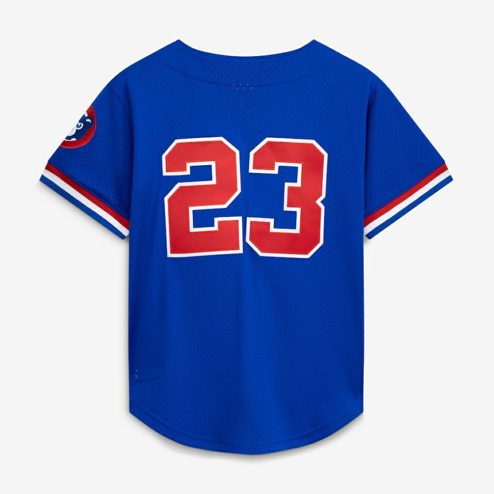 Royal Ryne Sandberg Chicago Cubs Mitchell & Ness Cooperstown Collection 1996 Mesh Batting Practice Button-Up Jersey