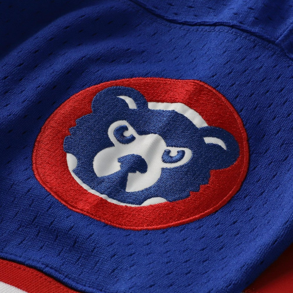 Royal Ryne Sandberg Chicago Cubs Mitchell & Ness Cooperstown Collection 1996 Mesh Batting Practice Button-Up Jersey