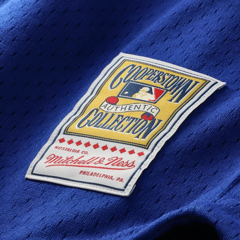 Royal Ryne Sandberg Chicago Cubs Mitchell & Ness Cooperstown Collection 1996 Mesh Batting Practice Button-Up Jersey