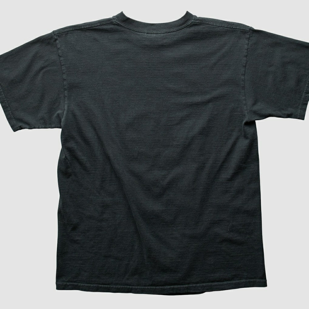 2000s T-shirt - Pittsburgh Steelers T-shirts
