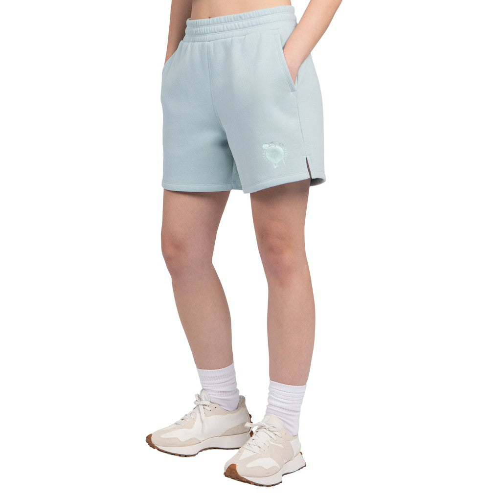 Boston Celtics Starter Women's Pastel High Waisted Shorts