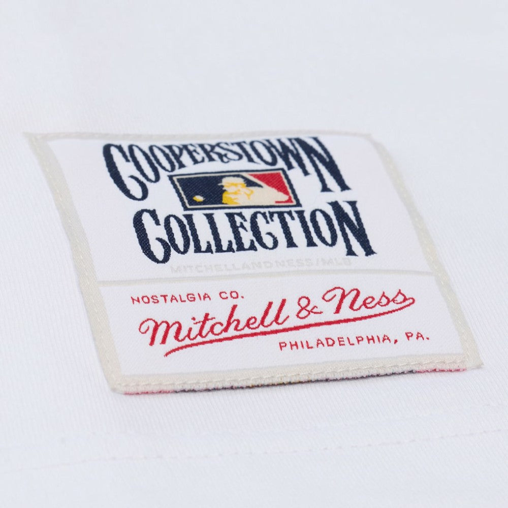 White Los Angeles Dodgers Mitchell & Ness Cooperstown Collection Arctic T-Shirt