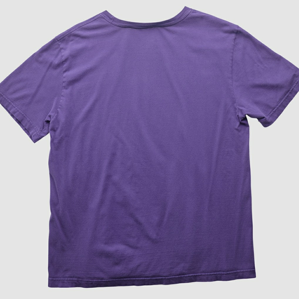 2010s T-shirt - Minnesota Vikings T-shirts