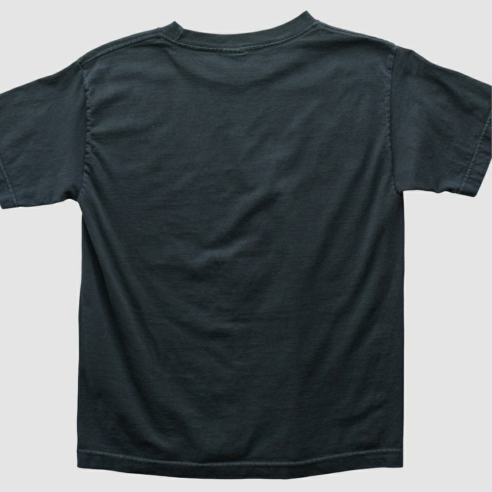 Alstyle 2004 T-shirt - Philadelphia Eagles T-shirts