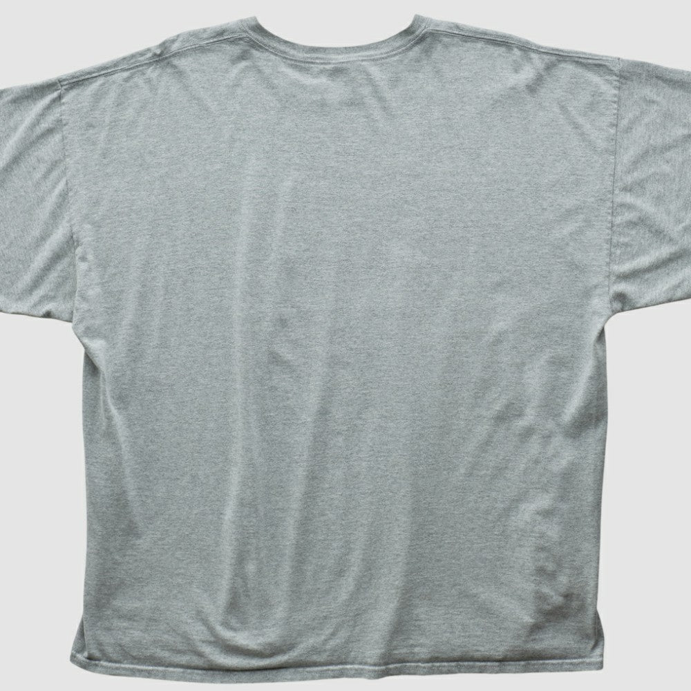 Heather Gray Boston Red Sox Gildan 2007 T-shirt