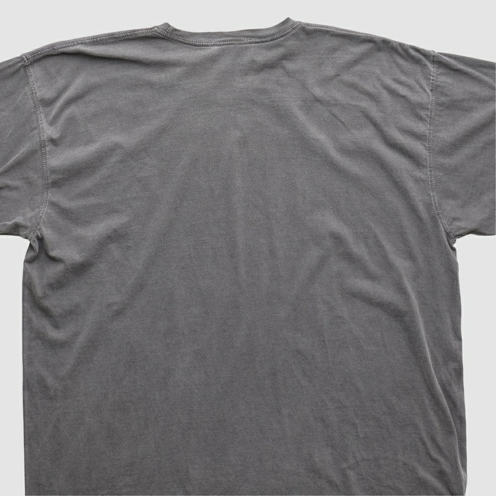 NFL 2010s T-shirt - Cleveland Browns T-shirts