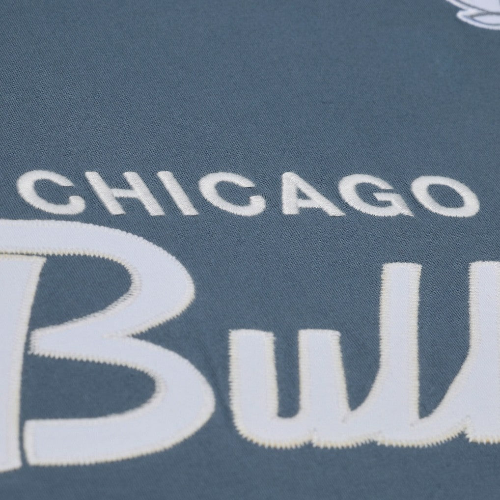 Mitchell & Ness Chicago Bulls Thunderstorm T-Shirt sale