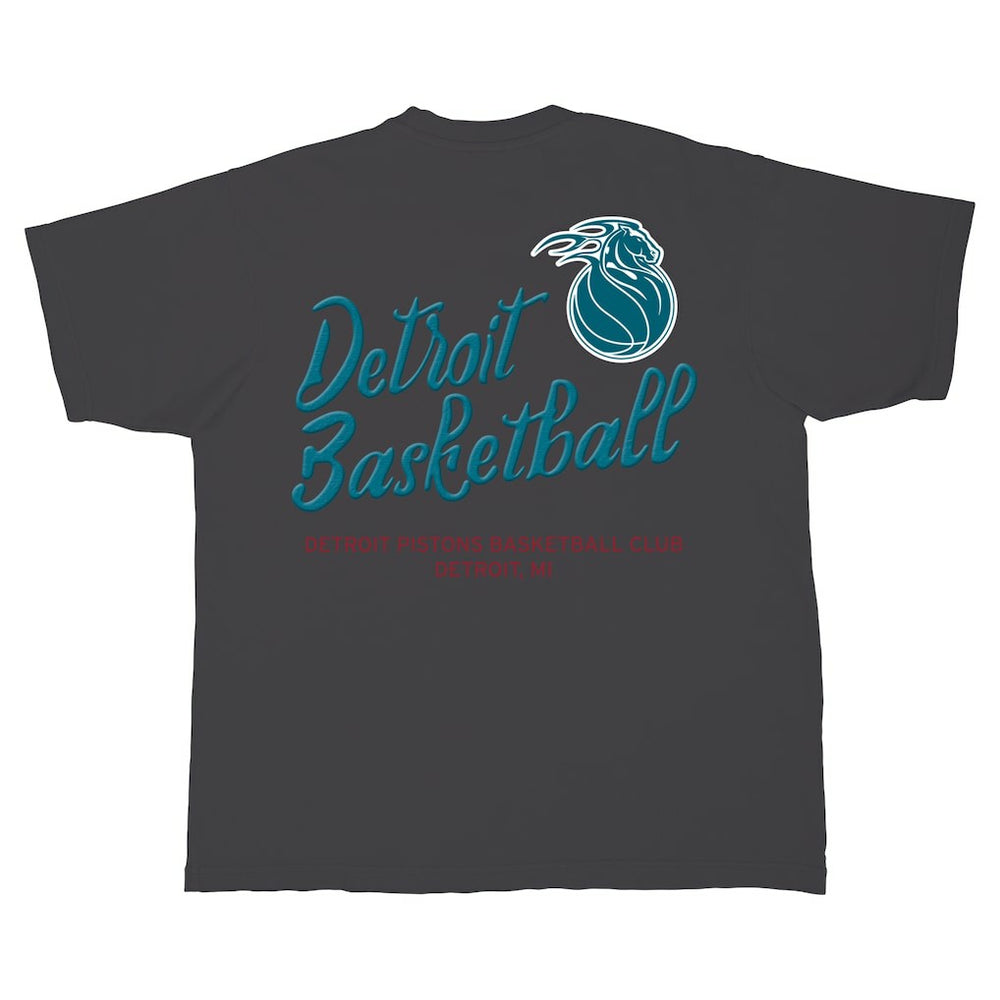 Detroit Pistons Stadium Essentials Unisex Local Barfly Urban T-Shirt sale