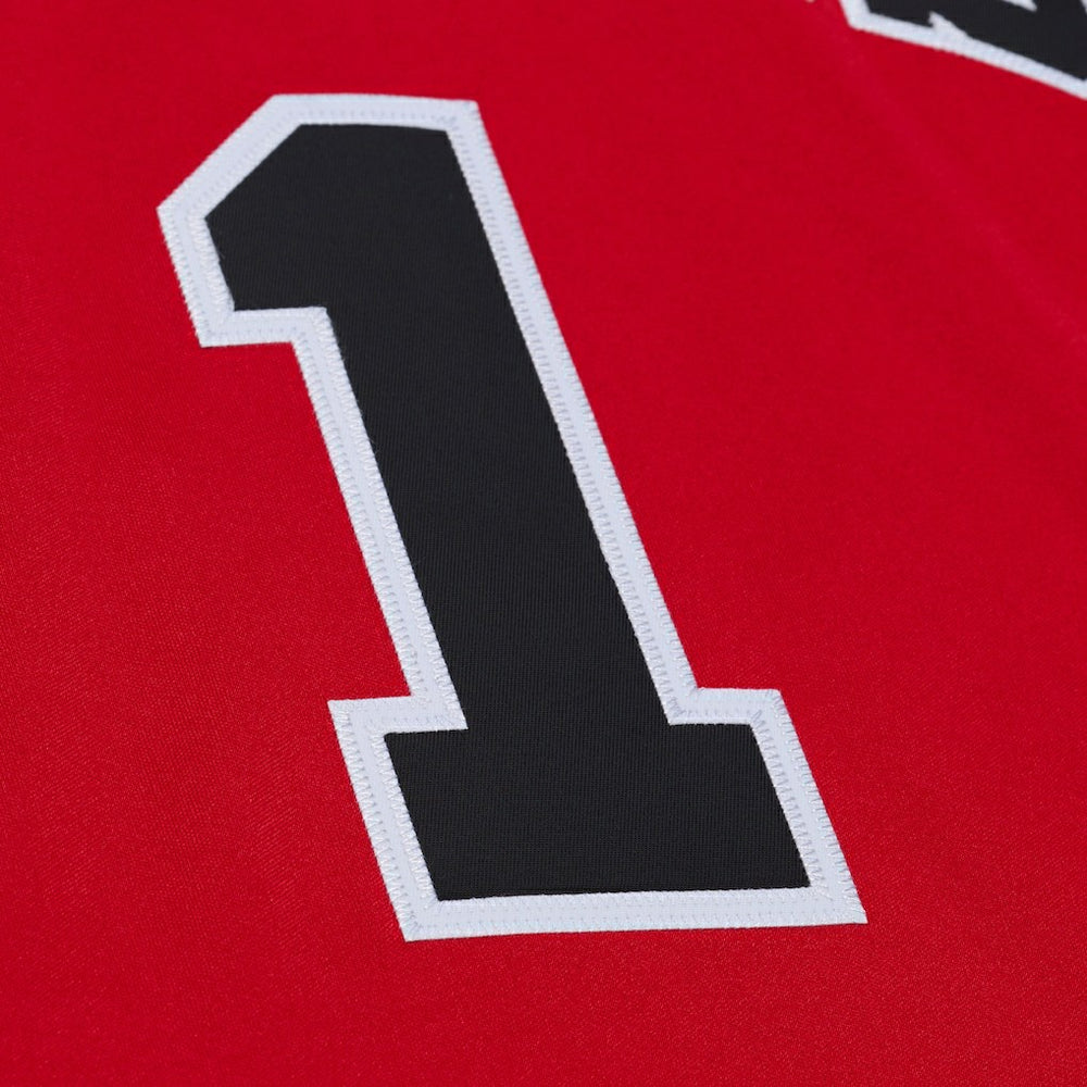 Mitchell & Ness Derrick Rose Chicago Bulls 2008-09 Authentic Jersey sale