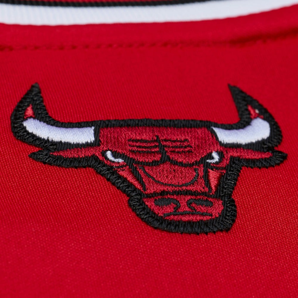 Mitchell & Ness Derrick Rose Chicago Bulls 2008-09 Authentic Jersey sale