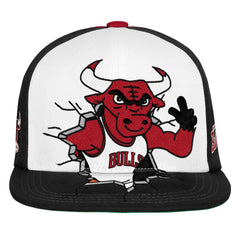 Mitchell & Ness Chicago Bulls Youth Mascot Snapback Hat