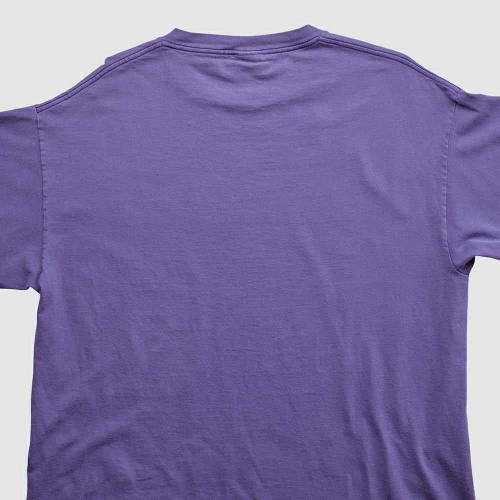 Lee Apparel 2000s T-shirt - Minnesota Vikings T-shirts