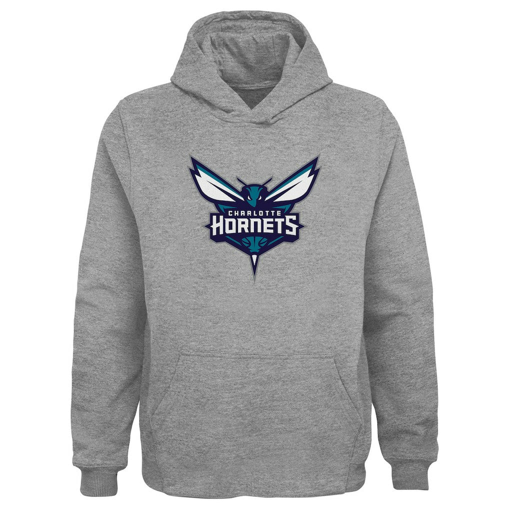 Charlotte Hornets Outerstuff Youth Primary Logo Pullover Hoodie