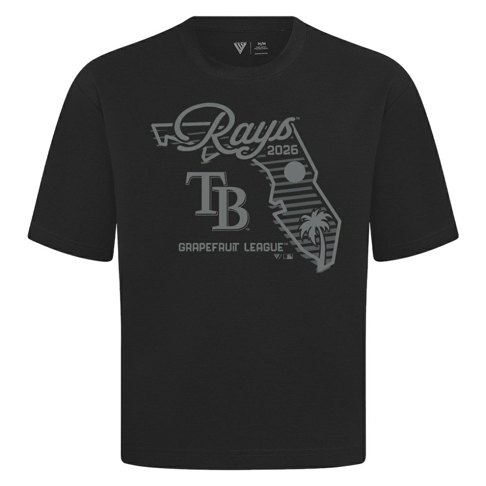 Black Tampa Bay Rays Levelwear Sunrise Luxe Signature Knit T-Shirt