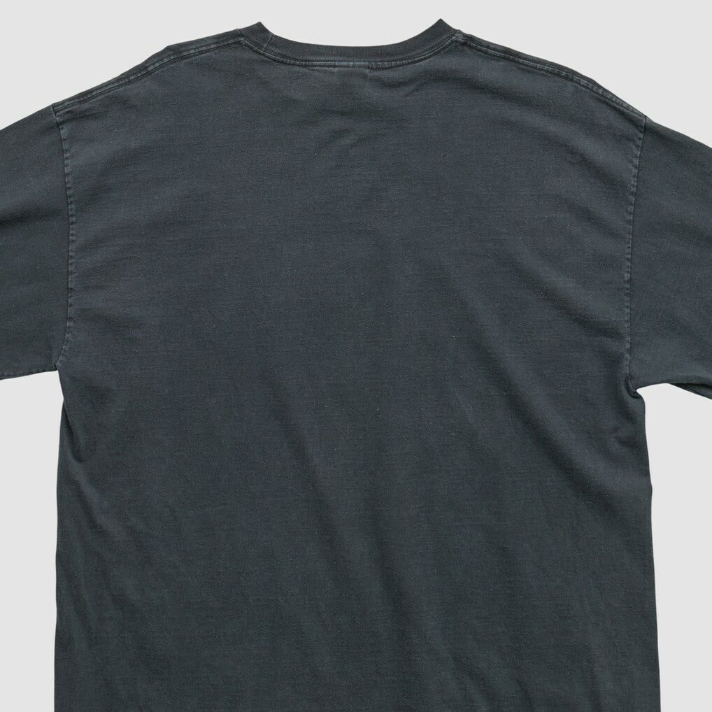 Alstyle 2006 Long Sleeve T-shirt - Pittsburgh Steelers T-shirts