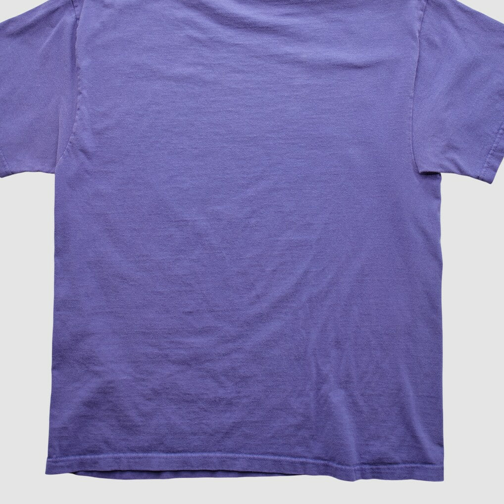 NFL 2000s T-shirt - Minnesota Vikings T-shirts