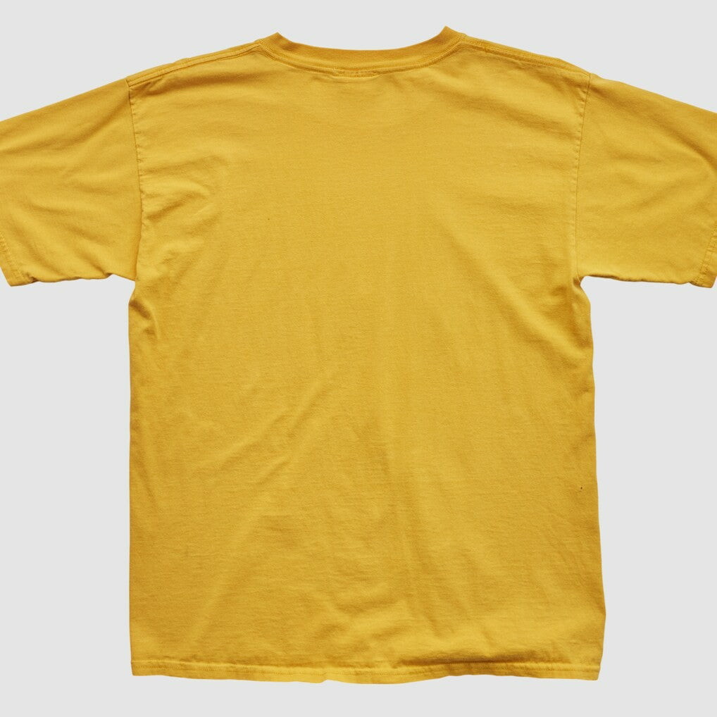 Vintage Indiana Pacers NBA 2000s T-shirt
