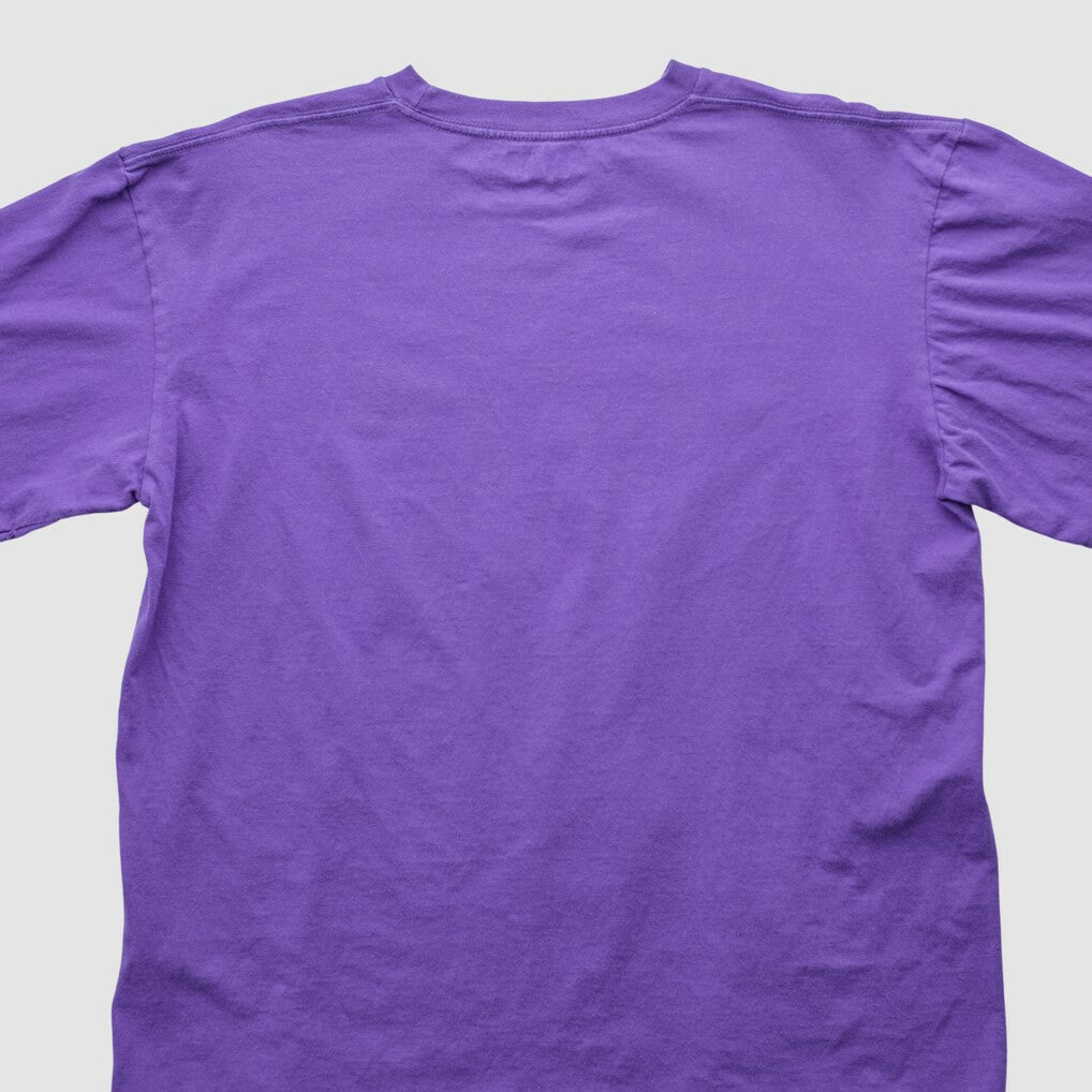 NFL 2000s T-shirt - Minnesota Vikings T-shirts