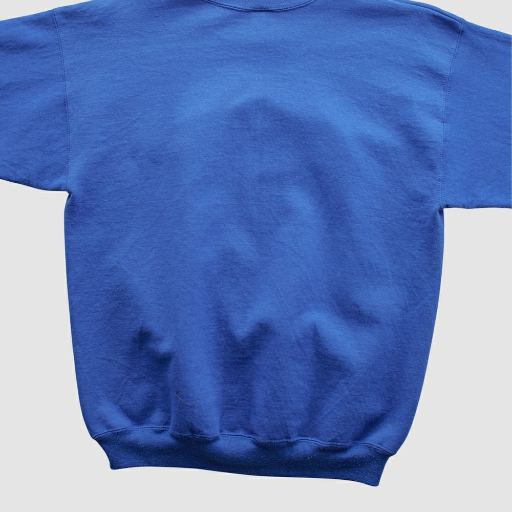 Champion 90s Pullover Sweatshirt - New York Giants Pullover