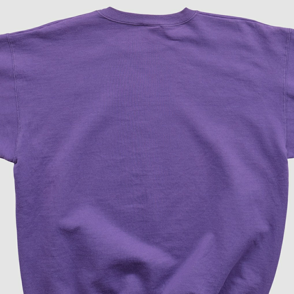 Champion 90s Pullover Sweatshirt - Minnesota Vikings Pullover